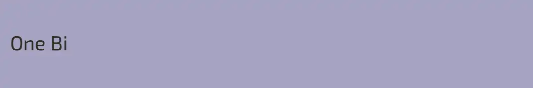 One Bi